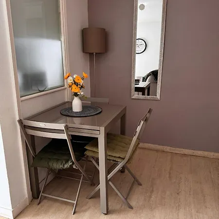 Le Riviera Rue D'antibes Et Palais Des Festival Apartmán